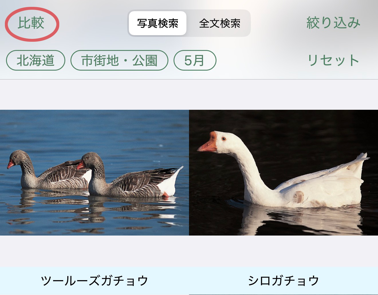 基本的な使い方